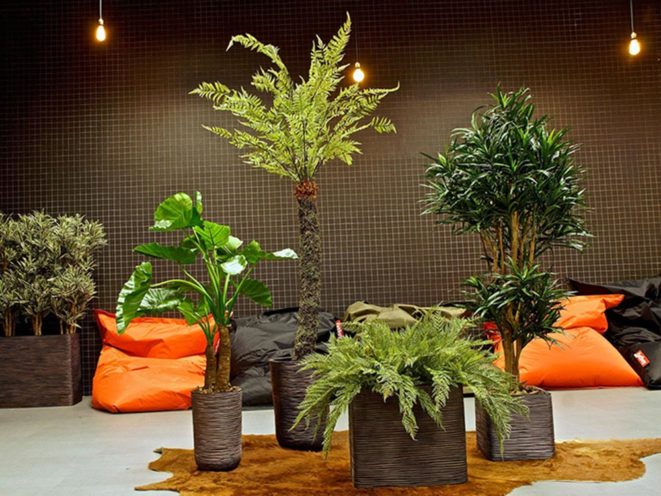 Plantes en pot, agencement espace professionnel global concept