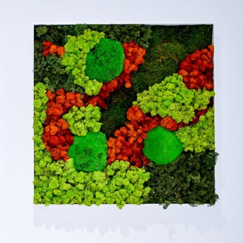 Cadre végétal pour la décoration murale des espaces de restauration par Global Concept