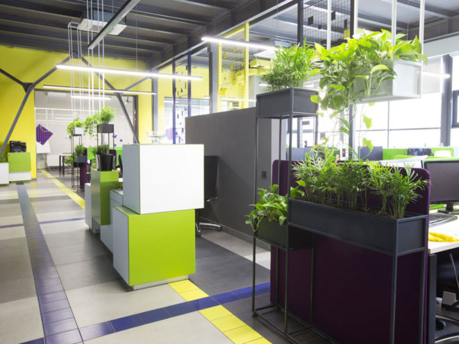 Un aménagement Green Office pour les locaux d'entreprise